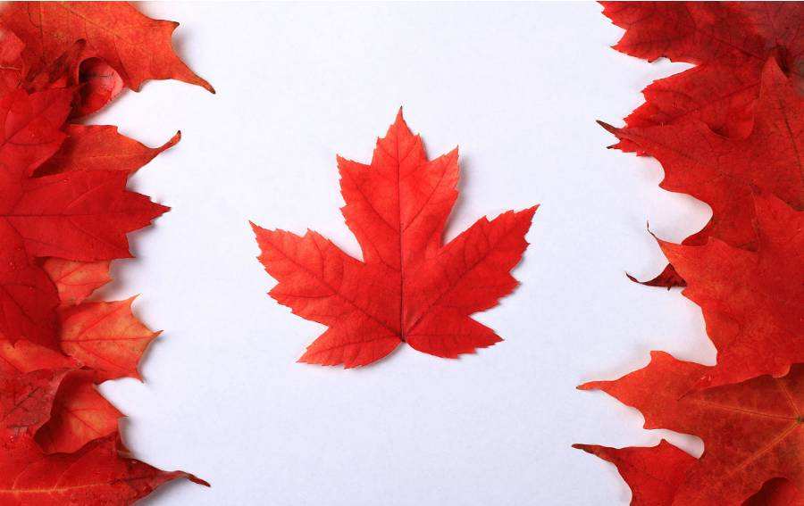 注冊(cè)加拿大商標(biāo) 注冊(cè)加拿大商標(biāo)