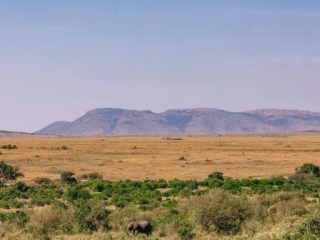 商務(wù)部研究院發(fā)布《中國與非洲經(jīng)貿(mào)關(guān)系報(bào)告（2023）》