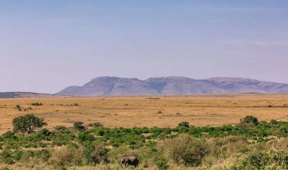 中國非洲對外經(jīng)貿(mào)發(fā)展