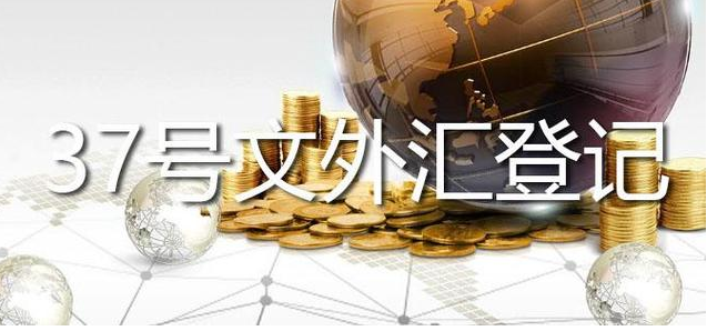 37號文外匯登記
